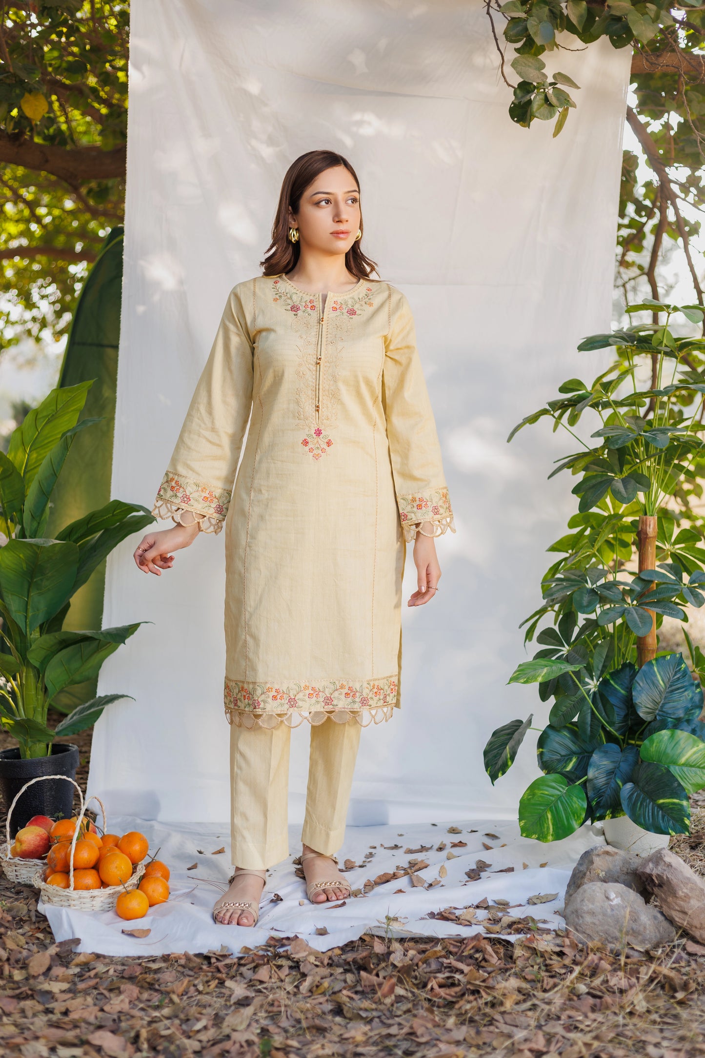 Beige - Luxury Embroidered 2PC Lawn Dress