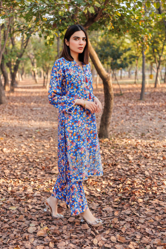 Shadow Rose - Chikankari Embroidered 2PC Stitched Lawn Dress