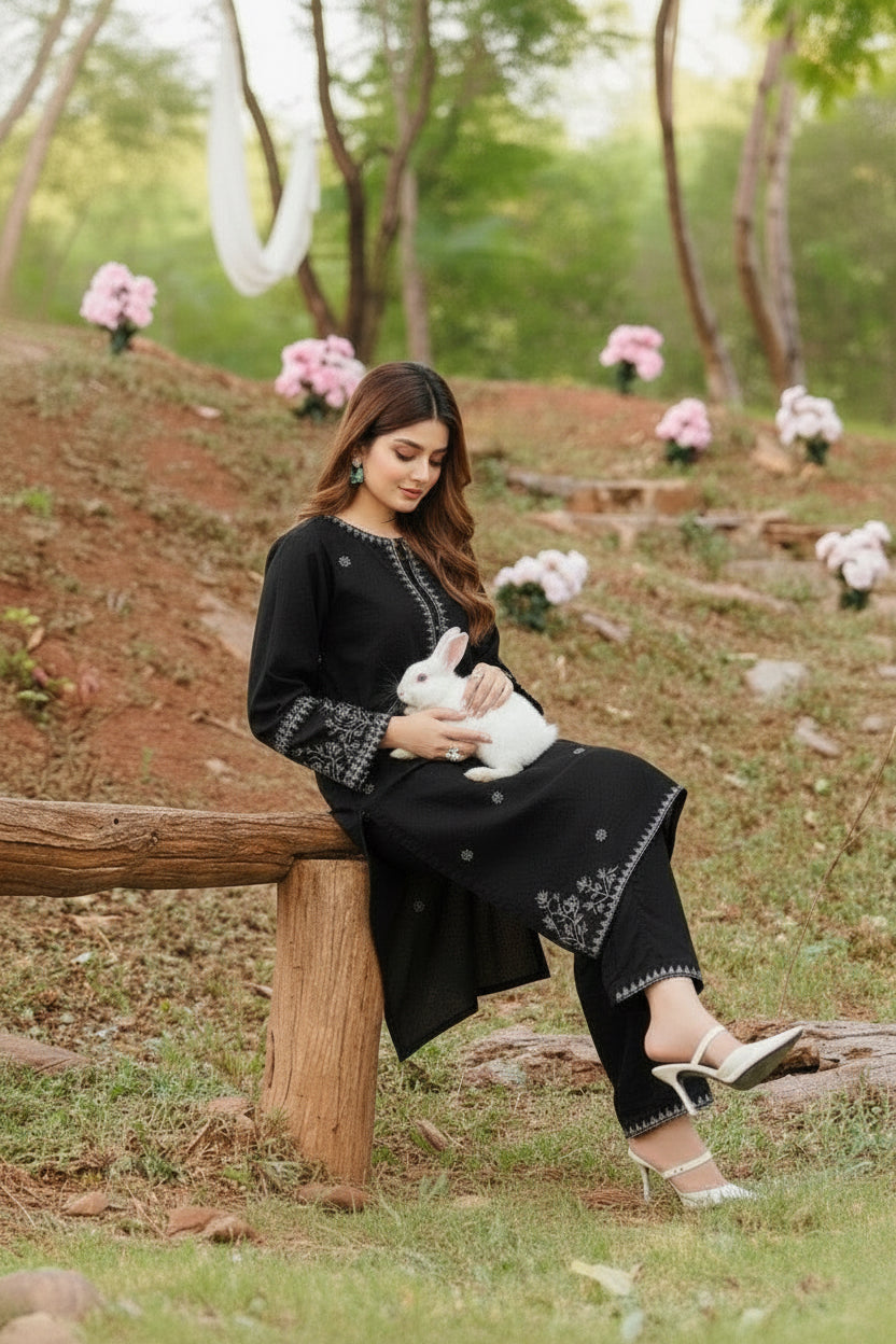 Dreamy Dust- Embroidered2-PC Khaddar Dress