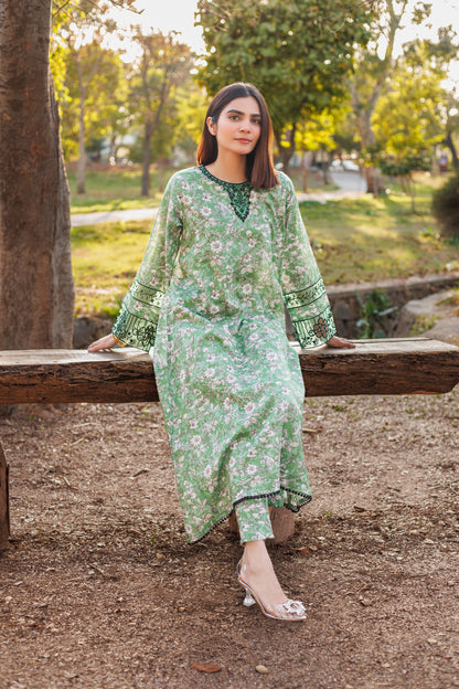 Jasmine - Embroidered 2PC Stitched Lawn Dress