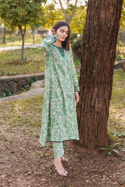 Jasmine - Embroidered 2PC Stitched Lawn Dress