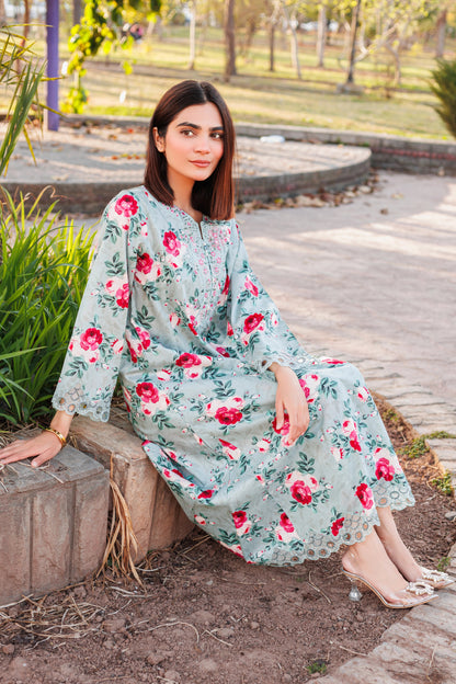 Rosewood - Embroidered 2PC Stitched Lawn Dress
