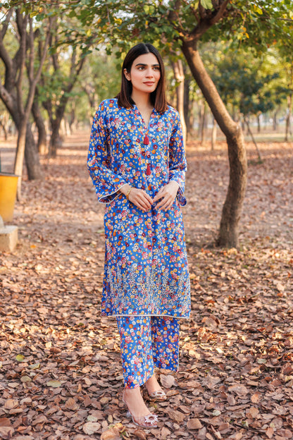 Shadow Rose - Chikankari Embroidered 2PC Stitched Lawn Dress