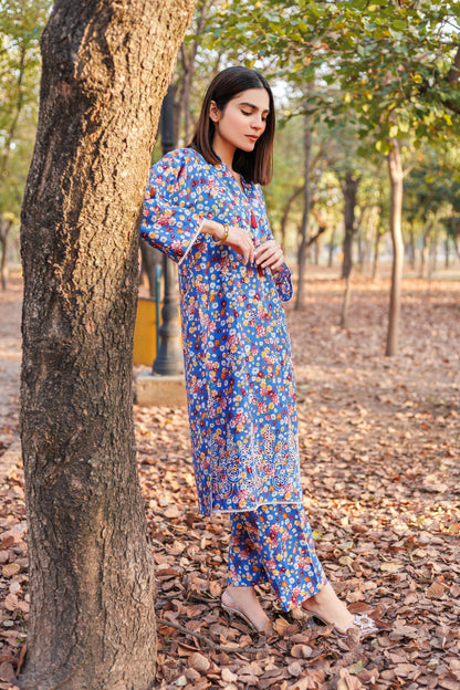 Shadow Rose - Chikankari Embroidered 2PC Stitched Lawn Dress
