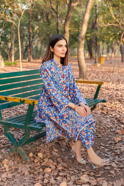 Shadow Rose - Chikankari Embroidered 2PC Stitched Lawn Dress