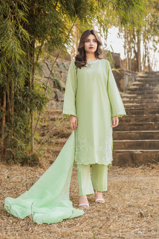 ARIN Embroidered 3-PC Lawn Dress